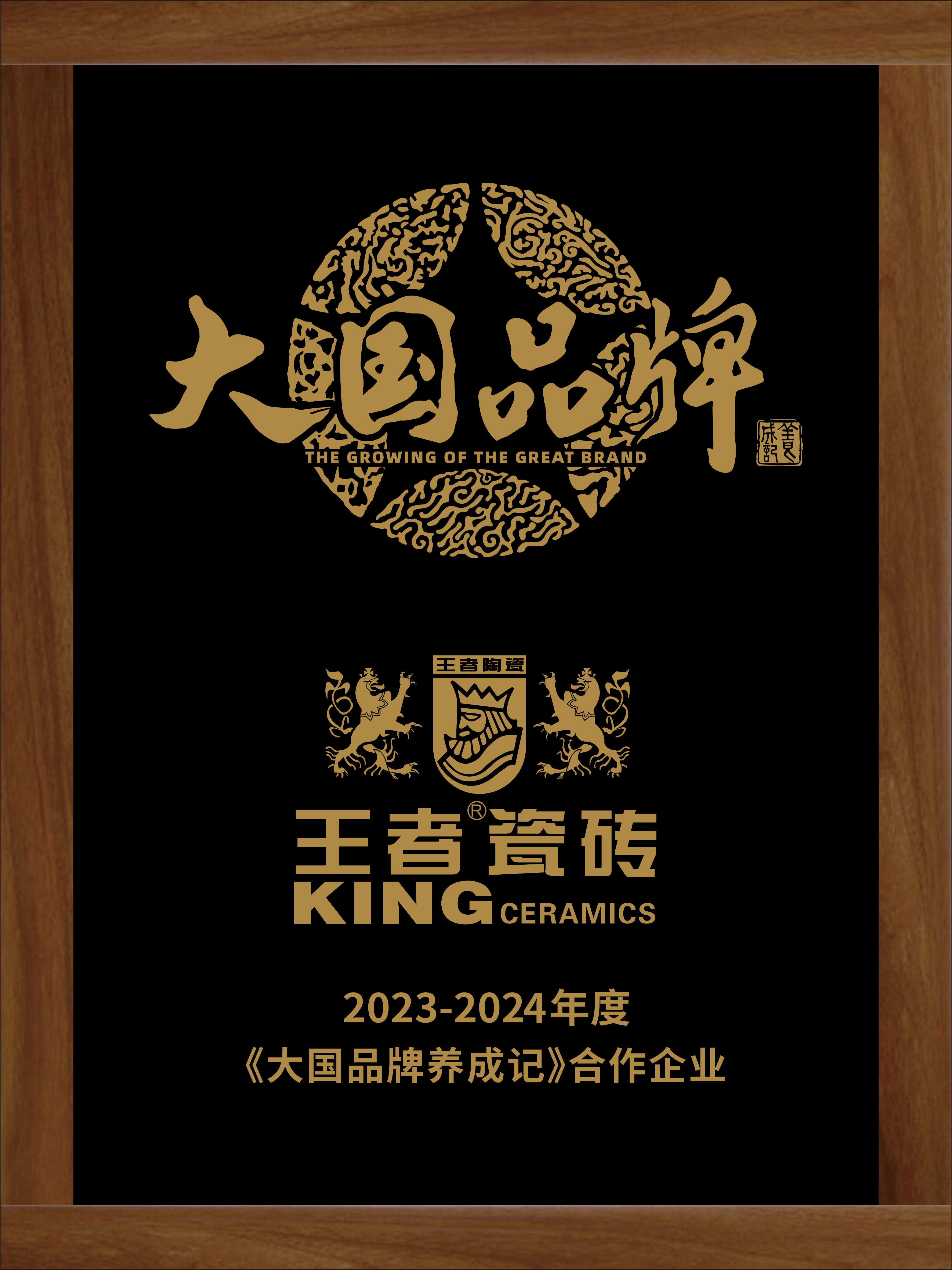 《大國品牌養成記》合作企業
